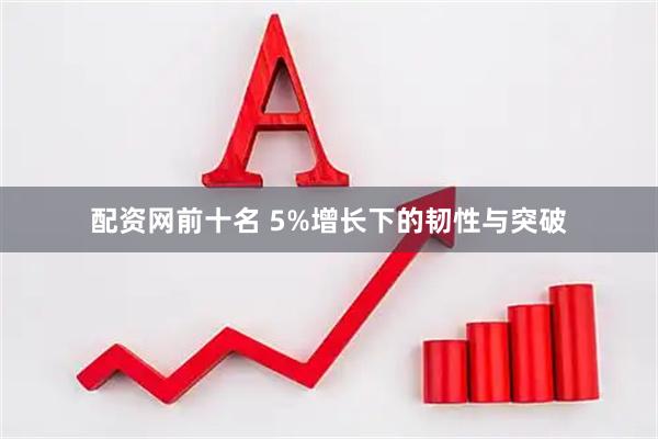 配资网前十名 5%增长下的韧性与突破