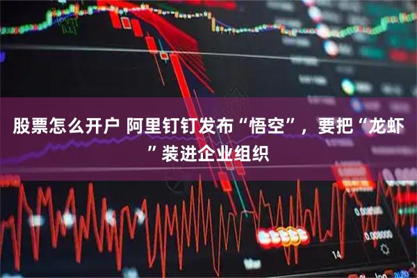 股票怎么开户 阿里钉钉发布“悟空”，要把“龙虾”装进企业组织
