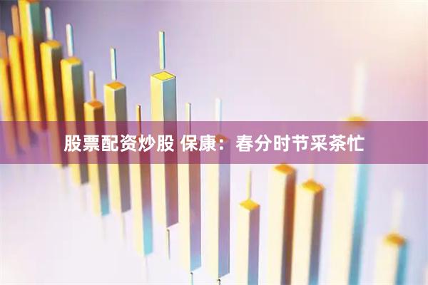 股票配资炒股 保康：春分时节采茶忙