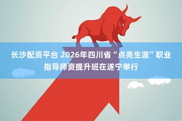 长沙配资平台 2026年四川省“点亮生涯”职业指导师资提升班在遂宁举行